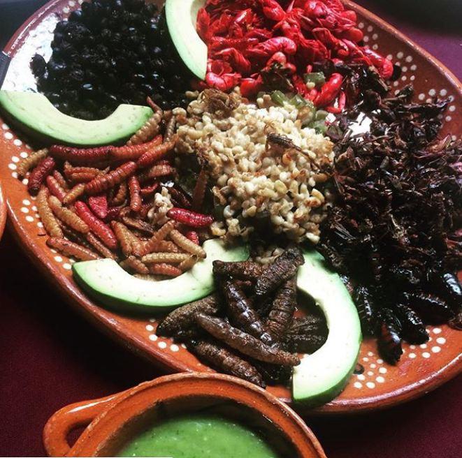 Khóc thét với những đặc sản côn trùng tại amp;#34;Thành phố của những cung điệnamp;#34; - 2