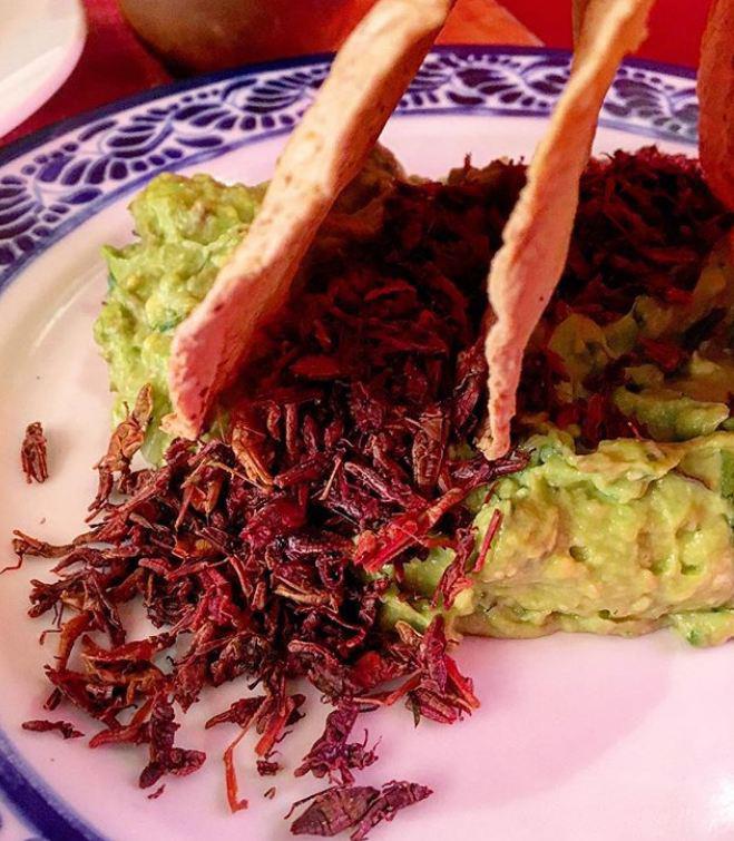 Khóc thét với những đặc sản côn trùng tại amp;#34;Thành phố của những cung điệnamp;#34; - 3