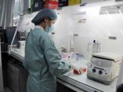 Tin tức - Xét nghiệm ADN hóa giải lời nguyền loạn luân