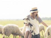Lifestyle - Hè đến rủ nhau về Vũng Tàu thăm đồng cừu bình yên, thơ mộng