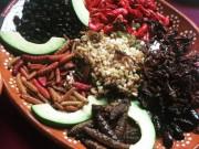 Bếp Eva - Khóc thét với những đặc sản côn trùng tại "Thành phố của những cung điện"