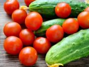 Sức khỏe - Cà chua tuy bổ dưỡng nhưng nếu kết hợp với các thực phẩm này dễ hại thân