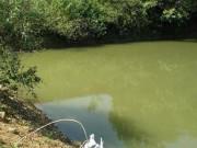 Tin tức - 3 bé trai 4-7 tuổi đuối nước thương tâm khi bà ra sau nhà thu hoạch sả