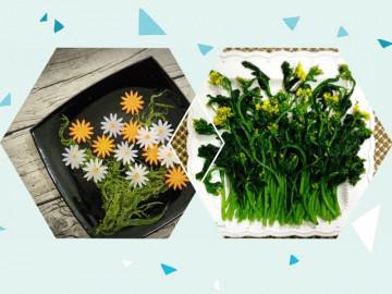 Mẹ đảm khoe các đĩa rau khiến dân mạng thốt lên Chỉ là rau thôi có cần đẹp thế không?