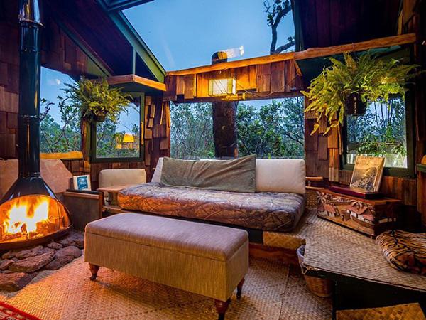 choang ngop kien truc tuyet dep cua nhung can nha tren cay - 10