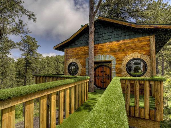 choang ngop kien truc tuyet dep cua nhung can nha tren cay - 14