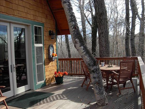 choang ngop kien truc tuyet dep cua nhung can nha tren cay - 18