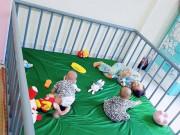 Làm mẹ - Chỉ với 700 nghìn, mẹ Bình Định tự làm cũi rộng thênh thang bằng ống nước cho con sinh đôi