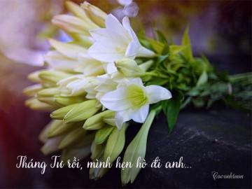 Tháng 4 rồi mình hẹn hò đi anh!