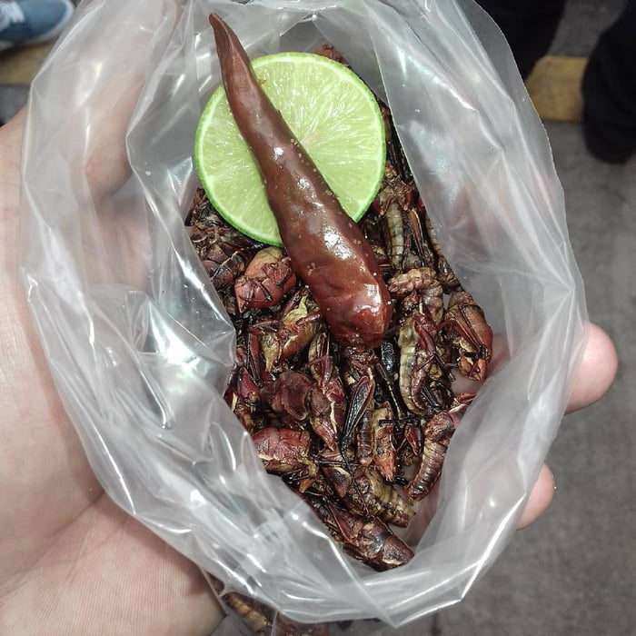 14 món là đặc sản quốc gia nhưng phần còn lại của thế giới hỏi “Có thể ăn được sao?” - 10