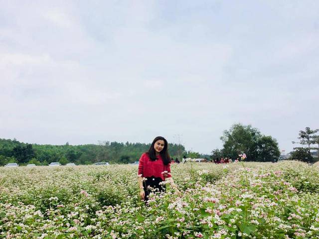 Lạc bước trong vườn hoa tam giác mạch đầu tiên ở miền Tây xứ Nghệ