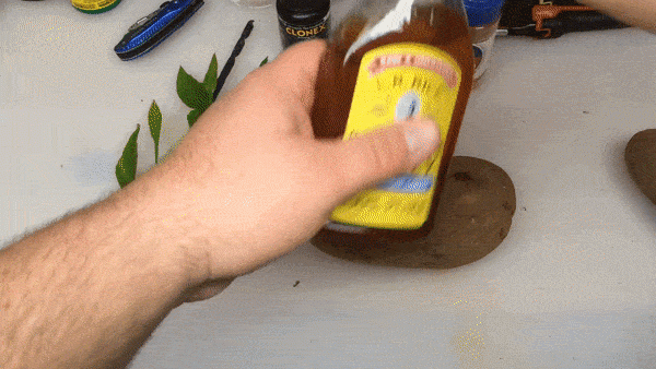 Lạ đời cách trồng cây chanh sai trĩu quả bằng... củ khoai tây, ai cũng muốn học theo - 4