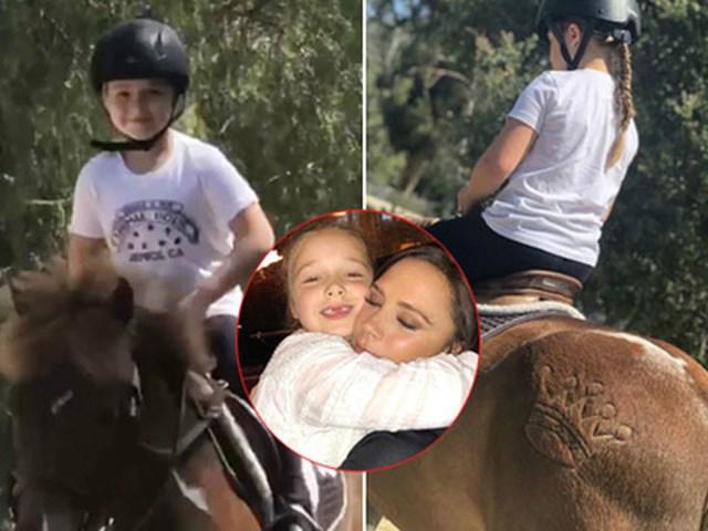 Đăng ảnh Harper vui vẻ cưỡi ngựa, Victoria tự dưng bị ném đá hội đồng