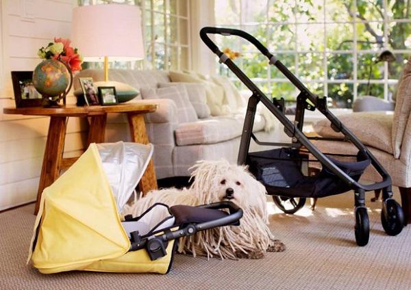 Là tỷ phú giàu thứ 6 thế giới nhưng ông chủ Facebook lại ở căn nhà khiêm tốn không ngờ - 5