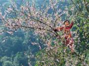 Tin tức - Đề xuất hoán đổi ngày nghỉ Tết Dương lịch, nghỉ Lễ 30-4 và 1-5 năm 2019