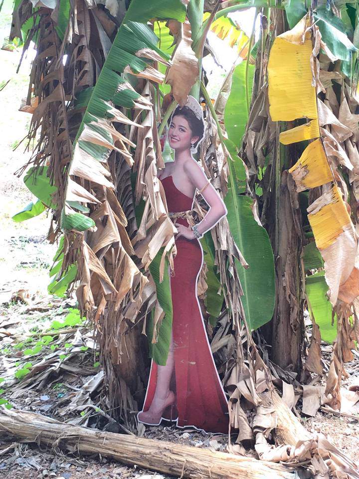 Tuần này, Hamp;#39; Hen Niê và Đỗ Mỹ Linh cùng xuất hiện trên các bản tin nhan sắc quốc tế - 9