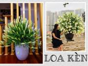 Nhà đẹp - Mê mẩn trăm kiểu cắm hoa loa kèn tháng tư đẹp tinh khôi của các chị em yêu hoa