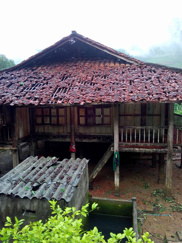 Xót xa hình ảnh nóc nhà thủng lỗ chỗ, vườn mận non dập nát do mưa đá ở Bắc Kạn - 3