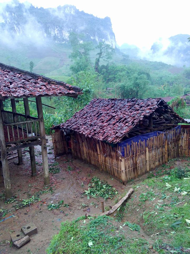 Xót xa hình ảnh nóc nhà thủng lỗ chỗ, vườn mận non dập nát do mưa đá ở Bắc Kạn - 5