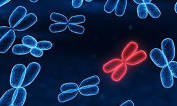 Những nguyên nhân thường gặp gây sảy thai - 1