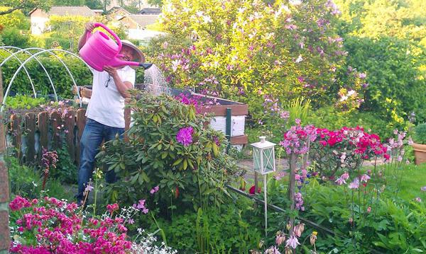 Ông bố Việt sở hữu vườn rau sạch ăn quanh năm không hết ở Đức - 13