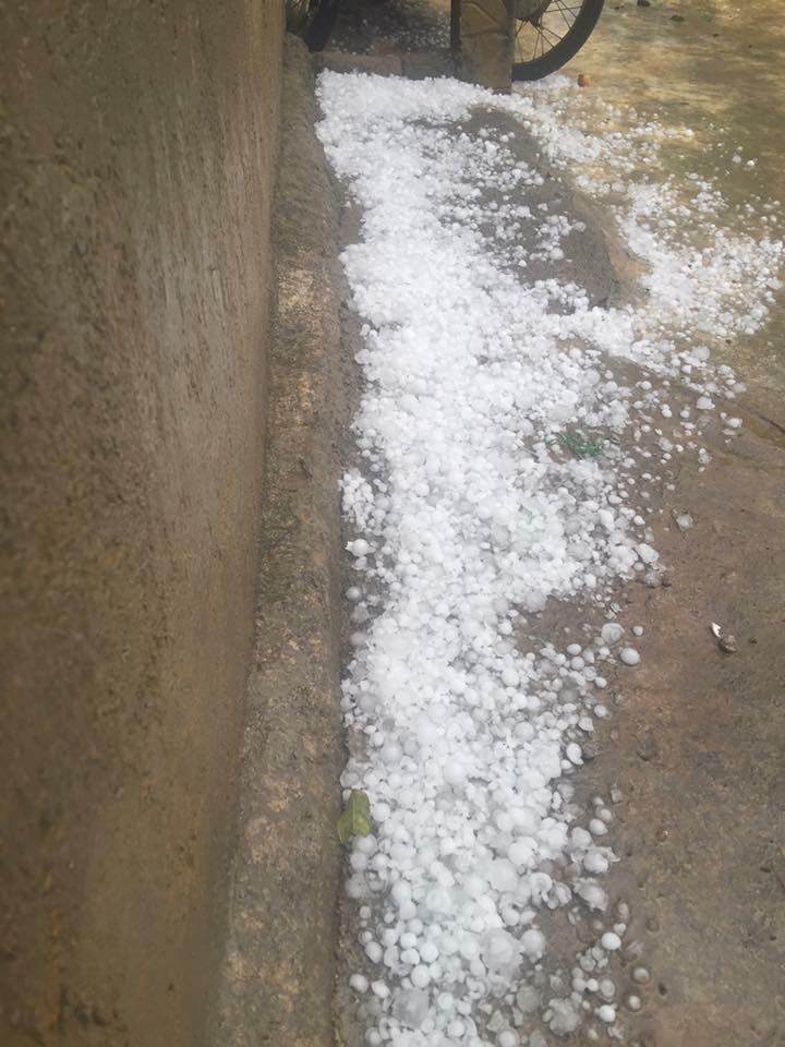 Xót xa hình ảnh nóc nhà thủng lỗ chỗ, vườn mận non dập nát do mưa đá ở Bắc Kạn - 8