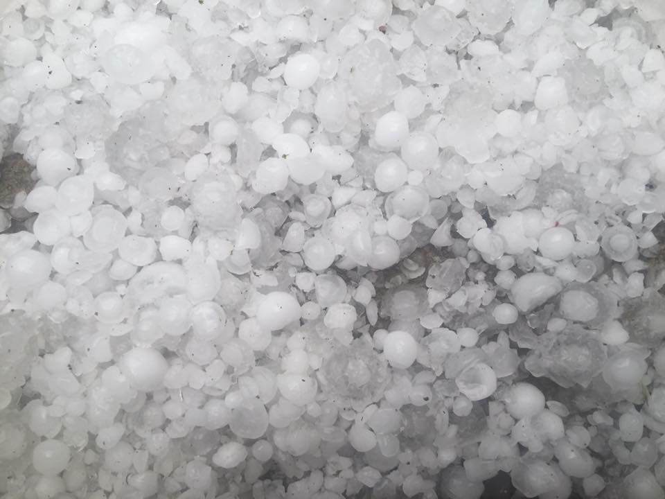 Xót xa hình ảnh nóc nhà thủng lỗ chỗ, vườn mận non dập nát do mưa đá ở Bắc Kạn - 12