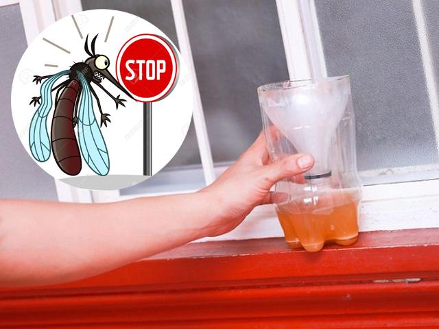 Mẹo bắt sạch bách muỗi trong nhà chỉ cần một ít bia uống dở và thứ nhà nào cũng có