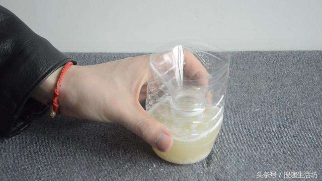 Mẹo bắt amp;#34;sạch báchamp;#34; muỗi trong nhà chỉ cần một ít bia uống dở và thứ nhà nào cũng có - 8