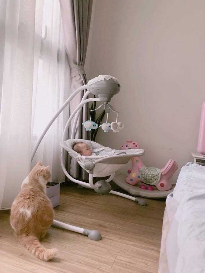 Lý giải cơn sốt nôi ru ngủ tự động của các bà mẹ trẻ - 2