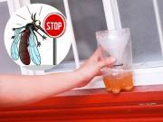 Nhà đẹp - Mẹo bắt "sạch bách" muỗi trong nhà chỉ cần một ít bia uống dở và thứ nhà nào cũng có