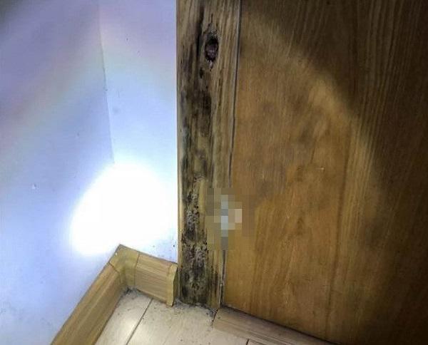 san nha, cua bong dung den si, chu nha duc ra moi phat hien au trung kinh di ben trong - 1