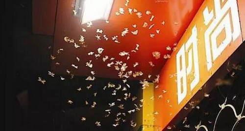 san nha, cua bong dung den si, chu nha duc ra moi phat hien au trung kinh di ben trong - 5