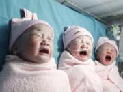Tin trong nước - Mang đa thai hiếm gặp tại vết mổ cũ, sản phụ sinh 3 thiên thần đáng yêu, nặng trên 2,5kg