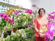 Nhà đẹp - Mê mẩn vườn hoa lan 60 chậu nở rực trên ban công vỏn vẹn 4m² của nữ nhà báo U60