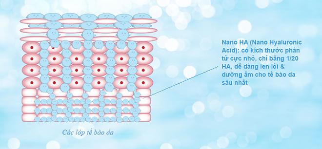 Nhiều chị em amp;#34;gián tiếpamp;#34; hủy hoại da vì không phân biệt được cấp ẩm với dưỡng ẩm - 2