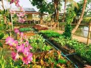 Nhà đẹp - Sự thật bất ngờ sau căn "nhà tranh - tim vàng" của đôi vợ chồng trẻ đang gây sốt MXH