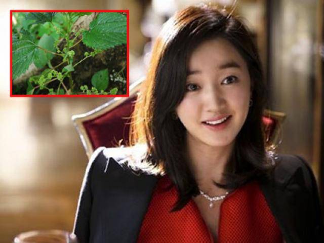 Bà vợ đỉnh nhất năm: Biết chồng ngoại tình, chỉ dùng một nắm lá mà khiến chồng hãi tới già