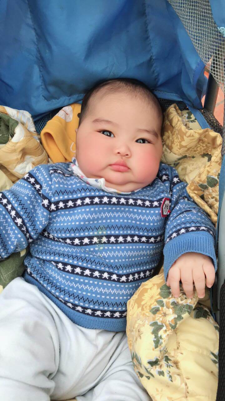 Bú mẹ hoàn toàn 6 tháng đầu, bé 11 tháng béo tròn, chắc nịch - 1