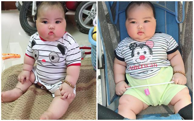 Bú mẹ hoàn toàn 6 tháng đầu, bé 11 tháng béo tròn, chắc nịch - 4