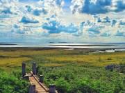 Xem ăn chơi - Những điểm vui chơi ngay sát Sài Gòn cho dịp nghỉ lễ 30/4 - 1/5