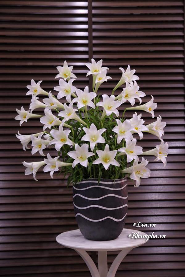 Là đấng mày râu, ông bố Hà Thành vẫn khiến chị em ghen tỵ vì cắm loa kèn quá khéo - 17