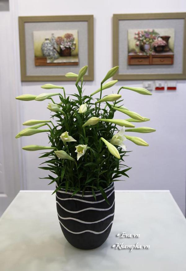 Là đấng mày râu, ông bố Hà Thành vẫn khiến chị em ghen tỵ vì cắm loa kèn quá khéo - 12