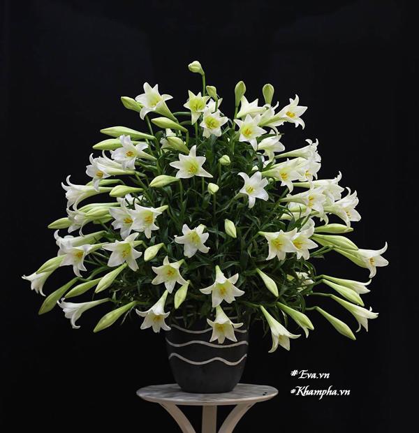 Là đấng mày râu, ông bố Hà Thành vẫn khiến chị em ghen tỵ vì cắm loa kèn quá khéo - 4