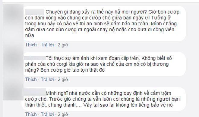 Kẻ gian cướp chó cưng trước sảnh chung cư, kéo lê người chủ hàng chục mét gây xôn xao MXH - 2