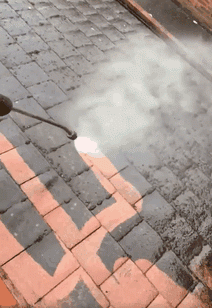 cuoi cung, toi da biet mau that cua may thu do nha minh sau ngan ay nam khong lau don! - 11