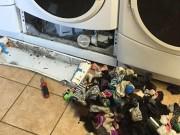 Nhà đẹp - Vài ngày lại thấy mất quần áo, chủ nhà hoảng hốt phát hiện thủ phạm chính là… chiếc máy giặt