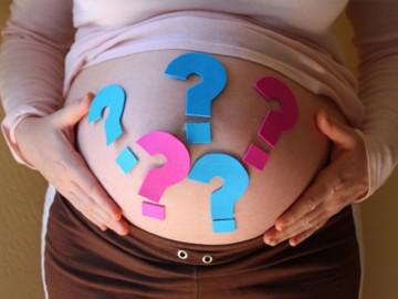 Quá trình hình thành thai nhi trong những ngày đầu diễn ra thế nào?