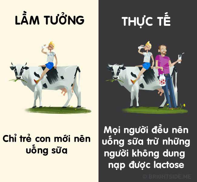 12 lầm tưởng về đồ uống trước giờ ai cũng tưởng là đúng - 7