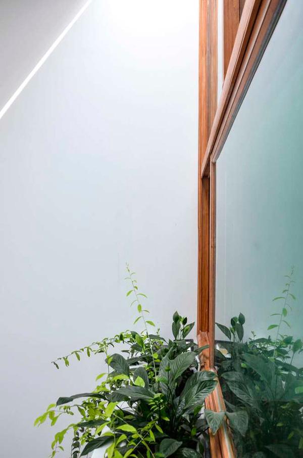 cat vat mat tien, nha ong o nha trang luon ngap tran anh sang - 12